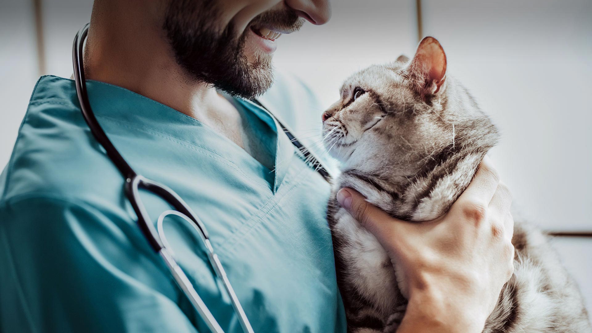 Günyüzü Veteriner